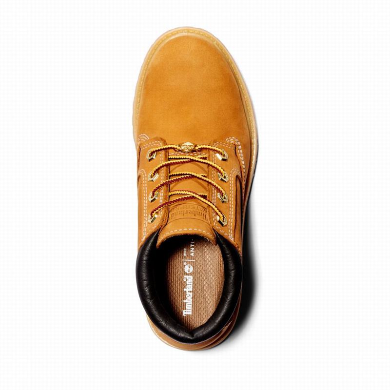 Timberland 1973 Newman Waterproof Chukka Čizme Smeđe | 96648070