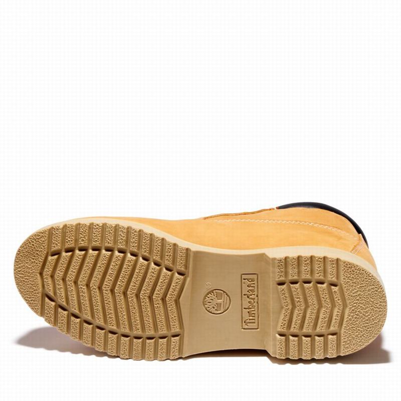 Timberland 1973 Newman Waterproof Chukka Čizme Smeđe | 96648070