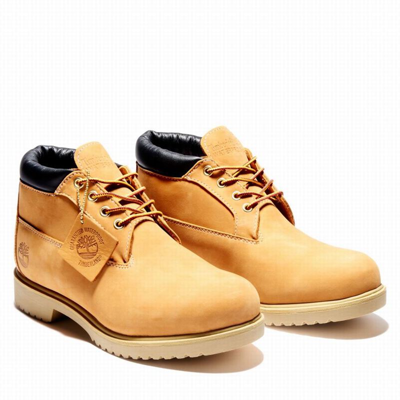Timberland 1973 Newman Waterproof Chukka Čizme Smeđe | 96648070