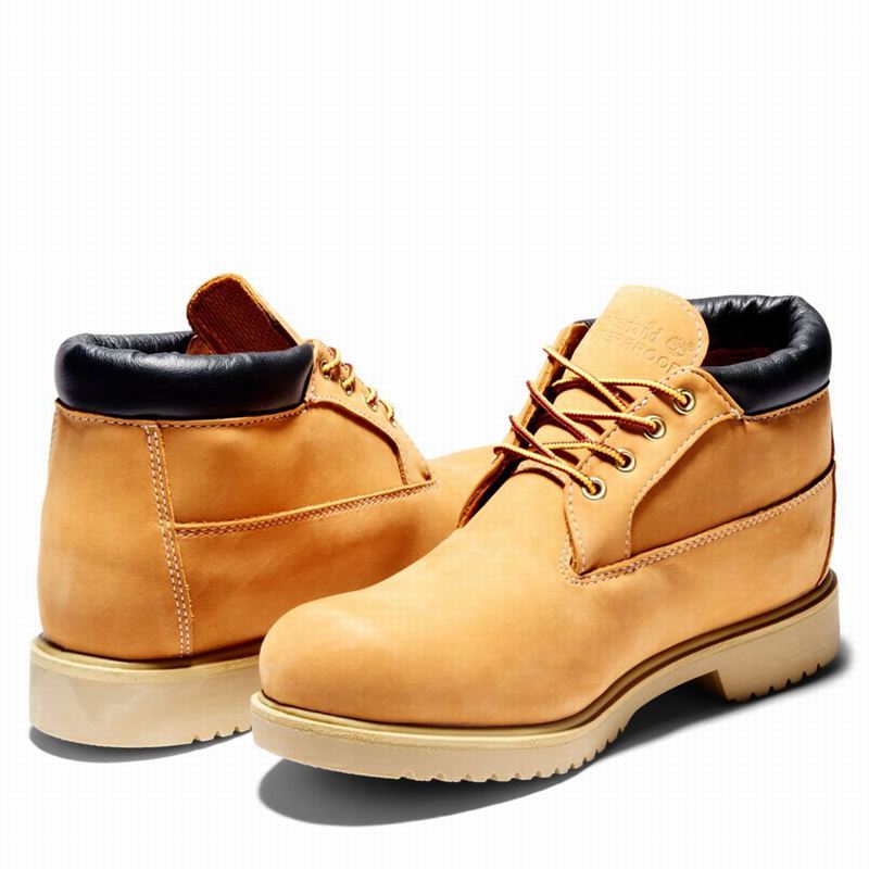 Timberland 1973 Newman Waterproof Chukka Čizme Smeđe | 96648070