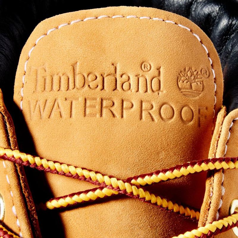 Timberland 1973 Newman Waterproof Chukka Čizme Smeđe | 96648070