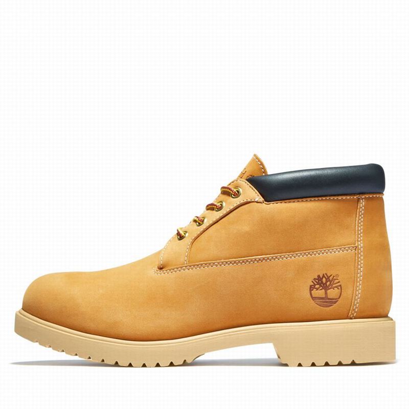 Timberland 1973 Newman Waterproof Chukka Čizme Smeđe | 96648070