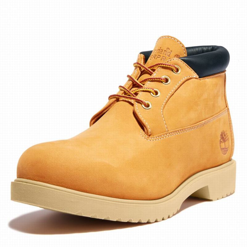 Timberland 1973 Newman Waterproof Chukka Čizme Smeđe | 96648070