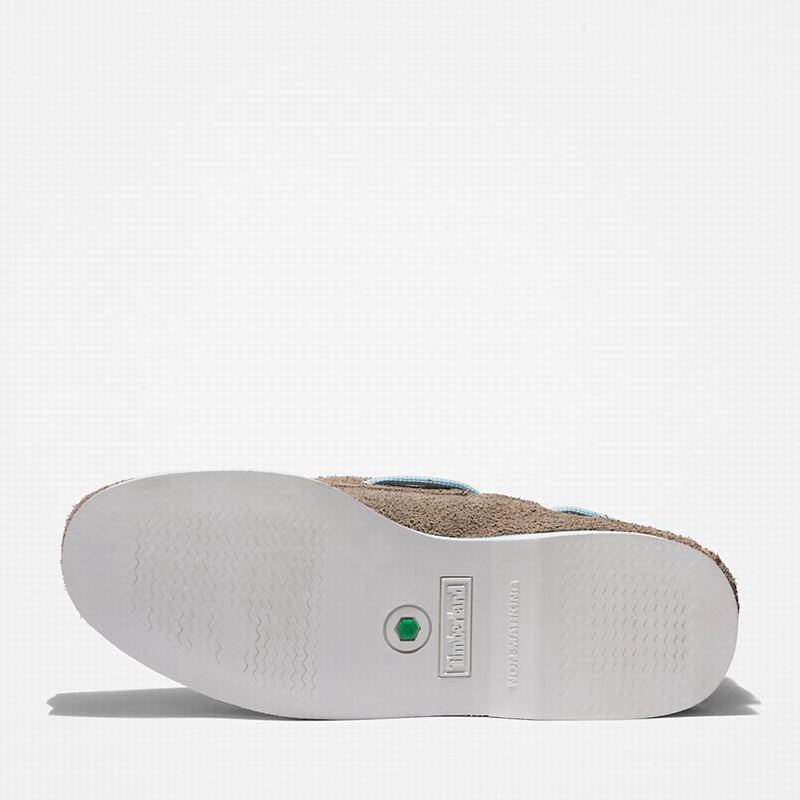 Timberland 2-Eye Classic Cipele Za Čamce Sive | 37367413