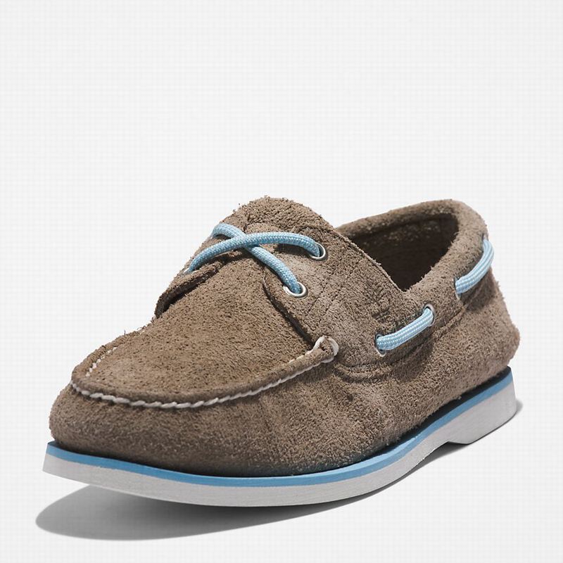 Timberland 2-Eye Classic Cipele Za Čamce Sive | 37367413