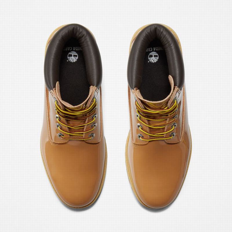 Timberland 6-Inch Patent Koža Čizme Smeđe | 34595553