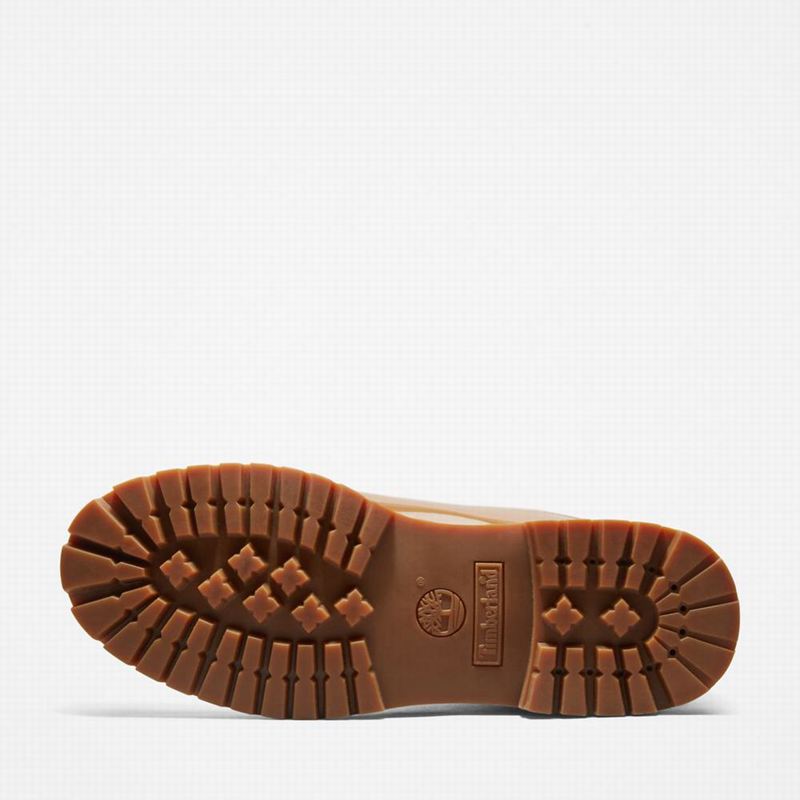Timberland 6-Inch Patent Koža Čizme Smeđe | 34595553