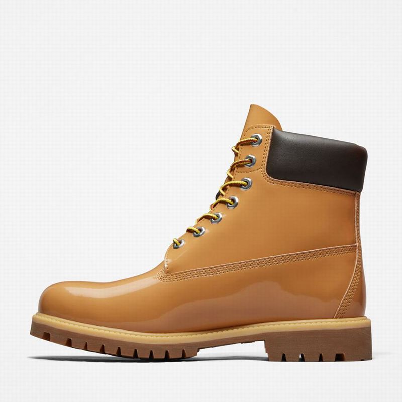 Timberland 6-Inch Patent Koža Čizme Smeđe | 34595553