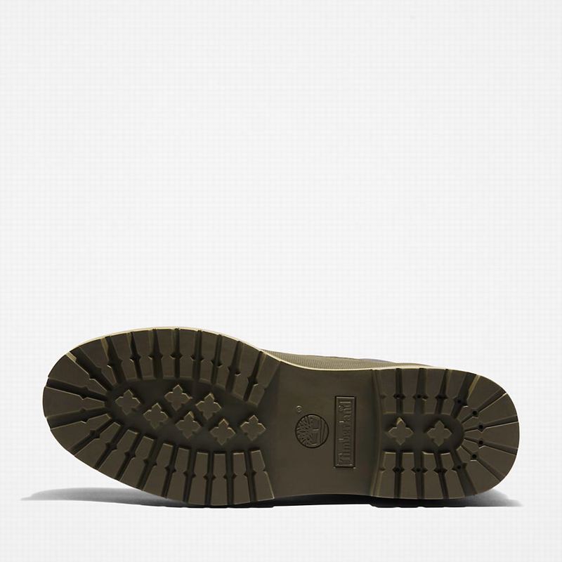 Timberland 6 Inch Rubber Toe Čizme Maslinasto Zelene | 96544909