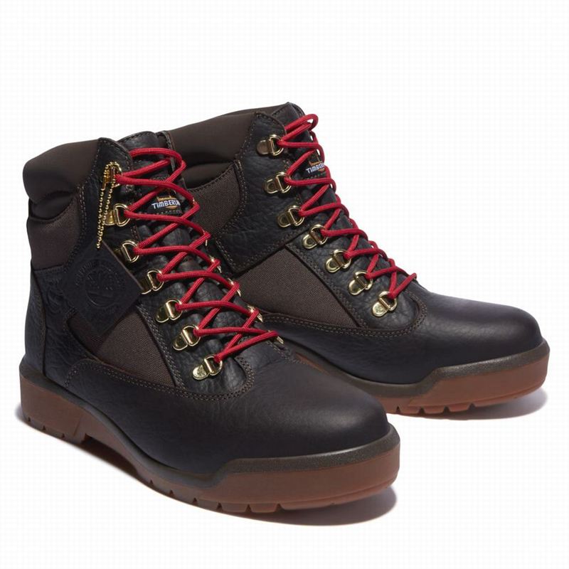Timberland 6-Inch Waterproof Field Vodootporne Čizme Smeđe | 31727977
