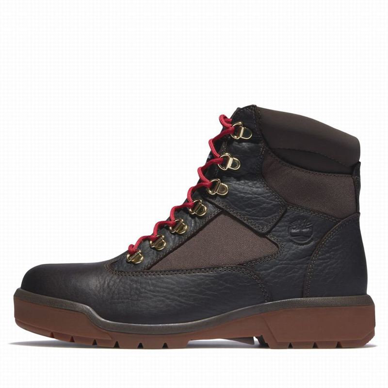 Timberland 6-Inch Waterproof Field Vodootporne Čizme Smeđe | 31727977