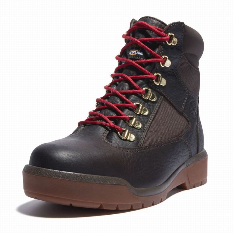 Timberland 6-Inch Waterproof Field Vodootporne Čizme Smeđe | 31727977