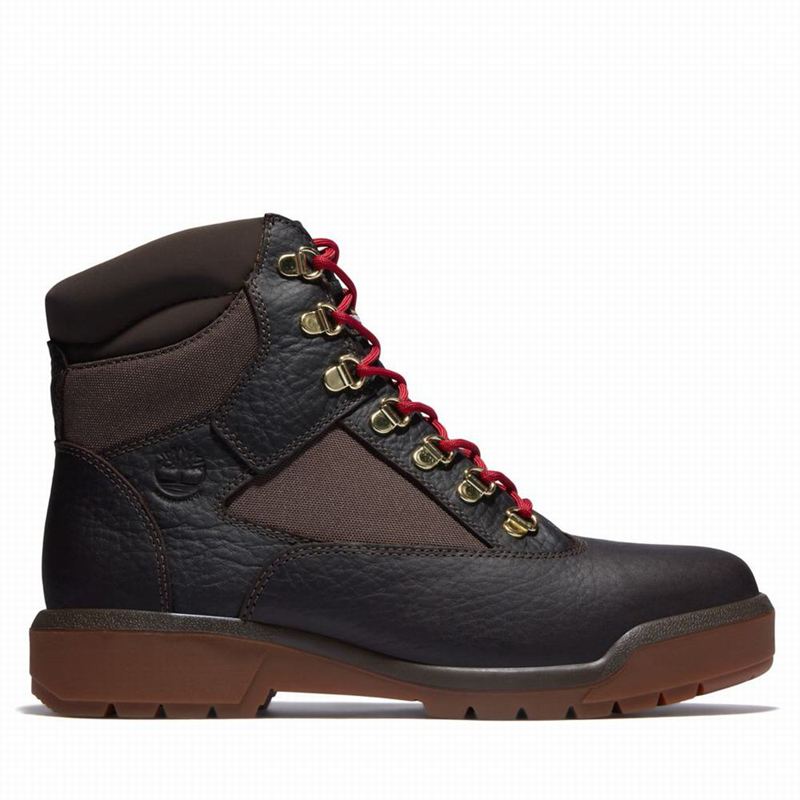 Timberland 6-Inch Waterproof Field Vodootporne Čizme Smeđe | 31727977