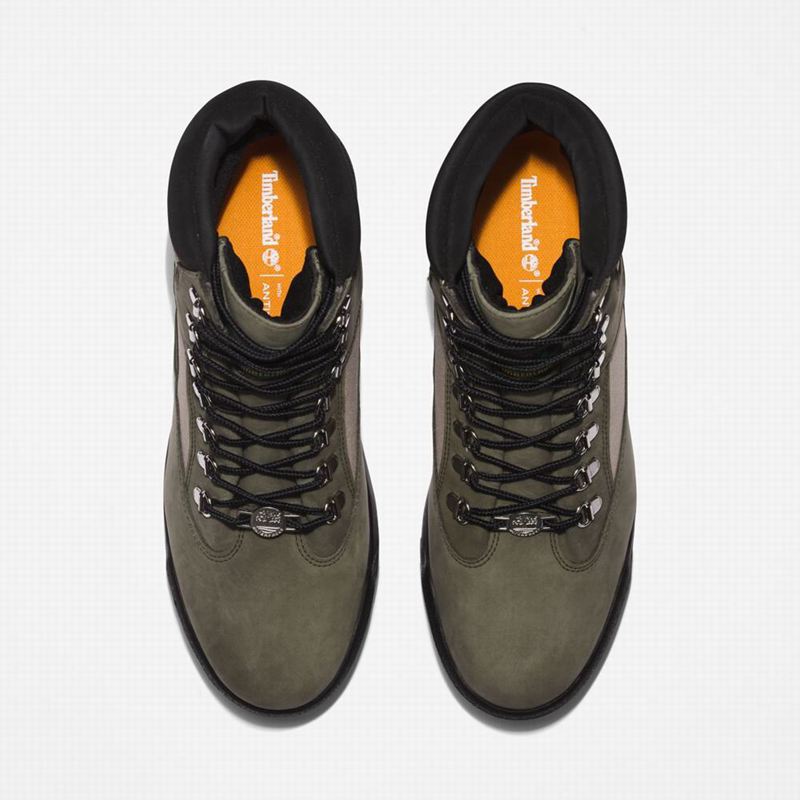 Timberland 6-Inch Waterproof Field Vodootporne Čizme Maslinasto Zelene | 64364032