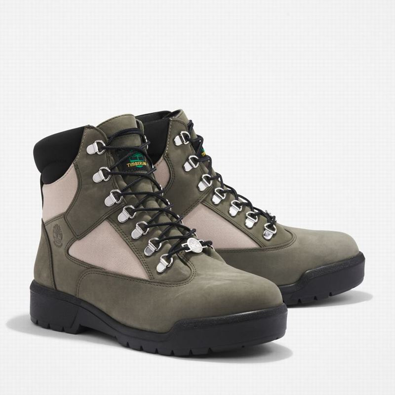 Timberland 6-Inch Waterproof Field Vodootporne Čizme Maslinasto Zelene | 64364032