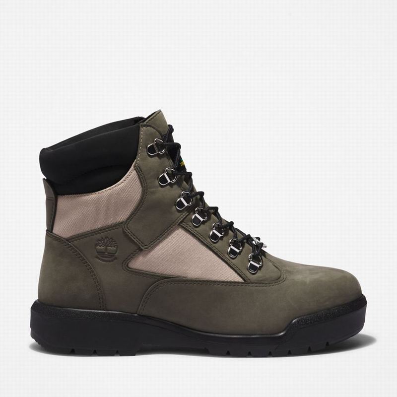 Timberland 6-Inch Waterproof Field Vodootporne Čizme Maslinasto Zelene | 64364032