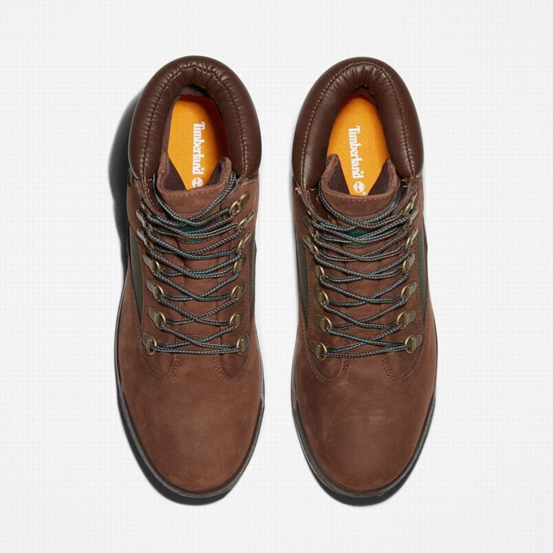 Timberland 6-Inch Waterproof Field Vodootporne Čizme Smeđe | 98139644