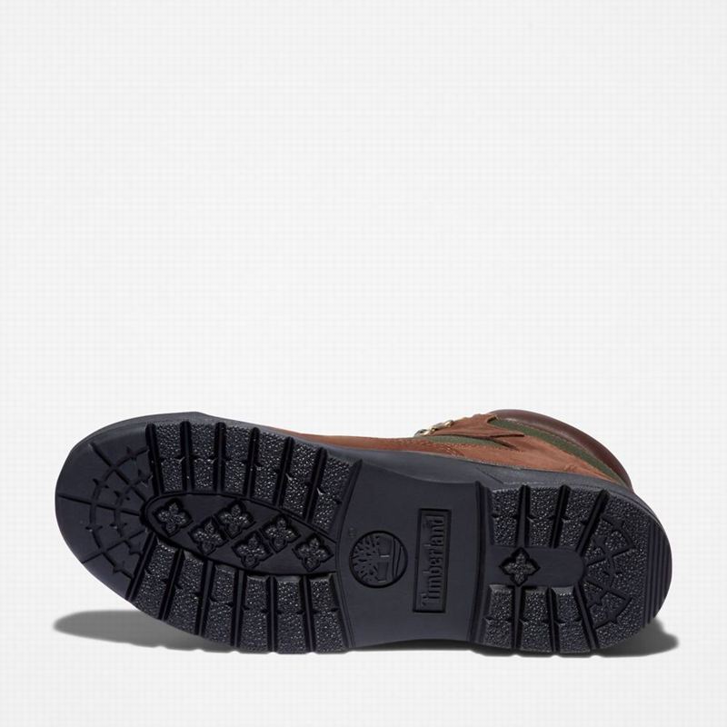 Timberland 6-Inch Waterproof Field Vodootporne Čizme Smeđe | 98139644