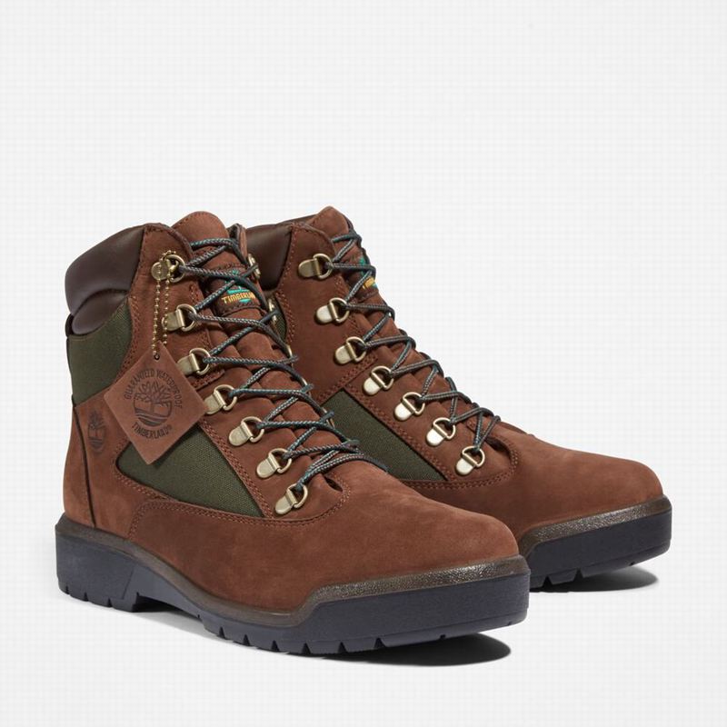 Timberland 6-Inch Waterproof Field Vodootporne Čizme Smeđe | 98139644