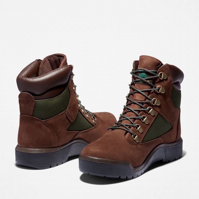 Timberland 6-Inch Waterproof Field Vodootporne Čizme Smeđe | 98139644