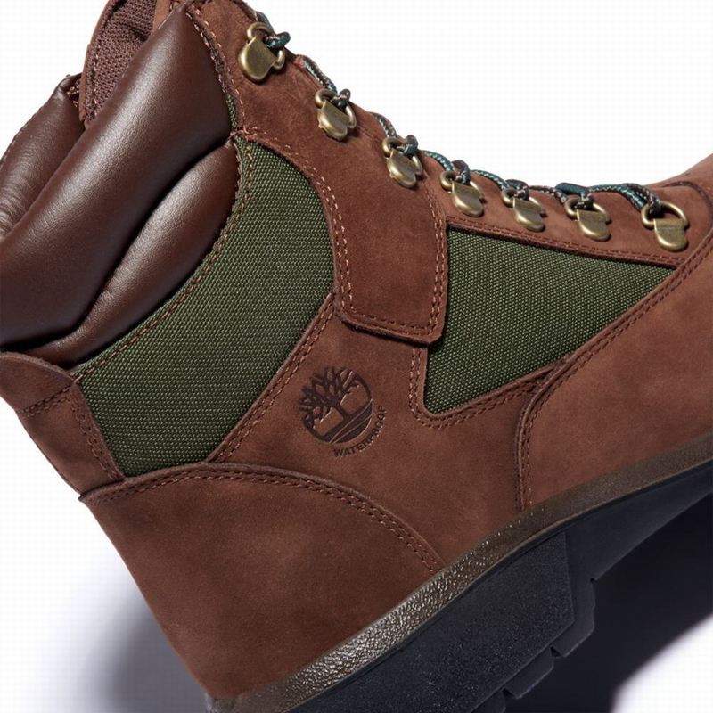 Timberland 6-Inch Waterproof Field Vodootporne Čizme Smeđe | 98139644