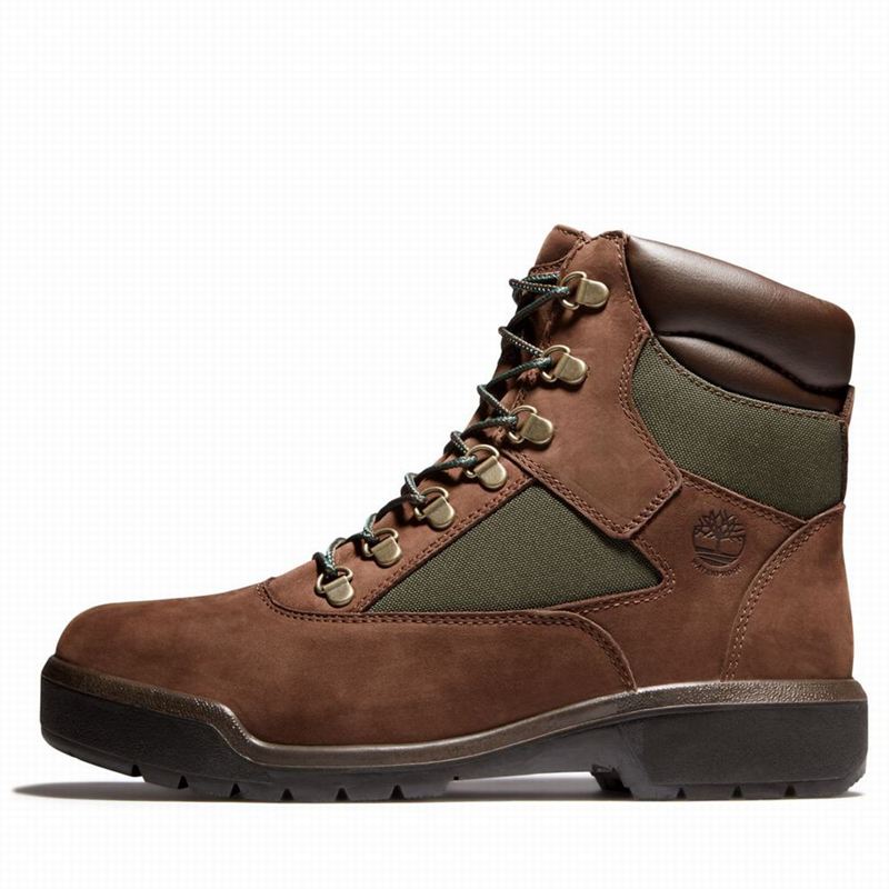 Timberland 6-Inch Waterproof Field Vodootporne Čizme Smeđe | 98139644