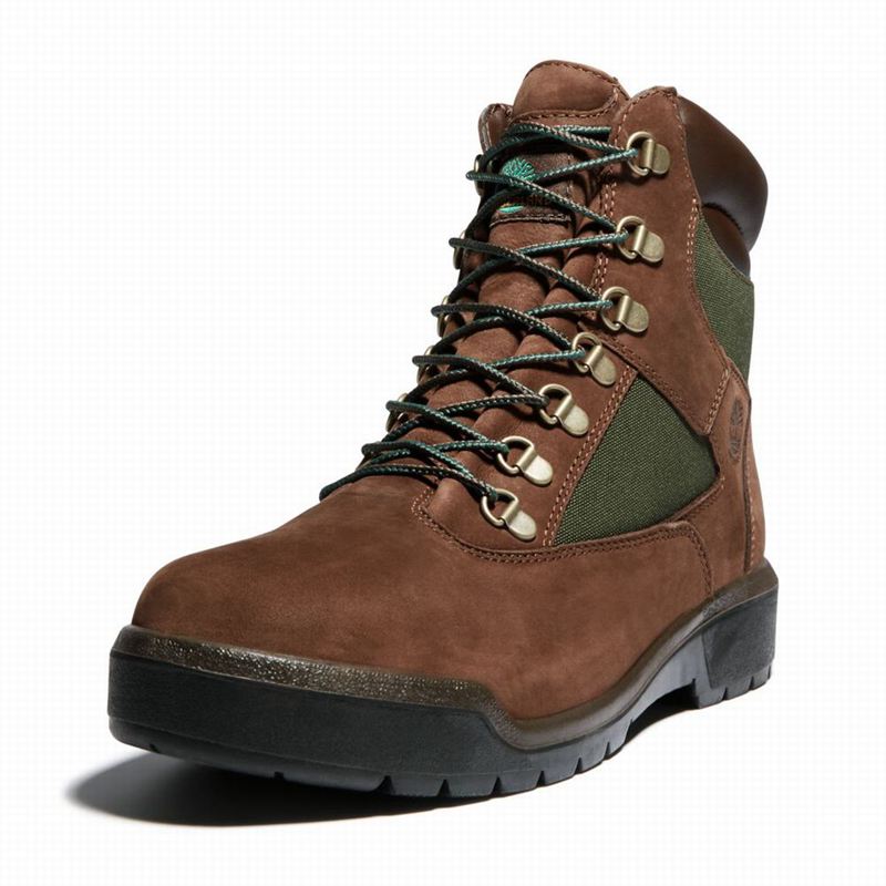 Timberland 6-Inch Waterproof Field Vodootporne Čizme Smeđe | 98139644
