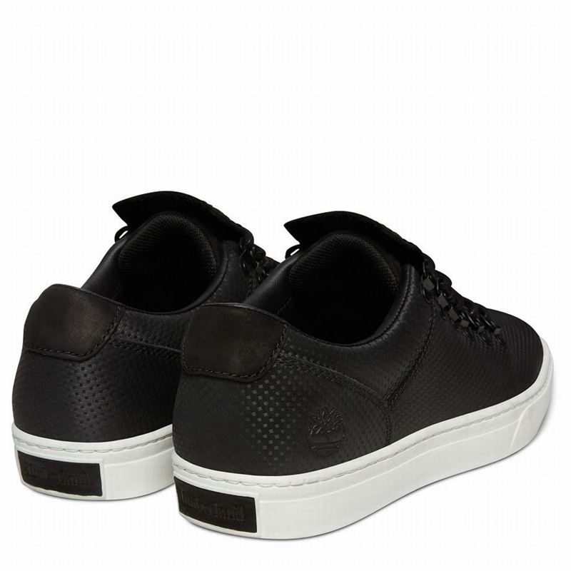 Timberland Adventure 2.0 Alpine Oxford Tenisice Crne | 81130437