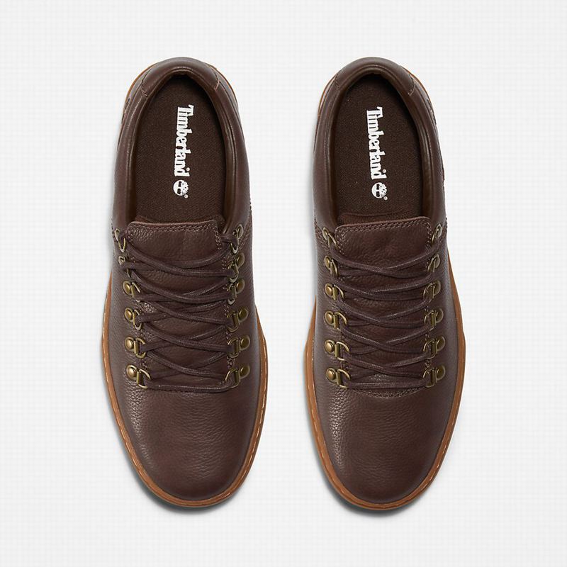 Timberland Adventure 2.0 Cupsole Alpine Tenisice Smeđe | 17648267