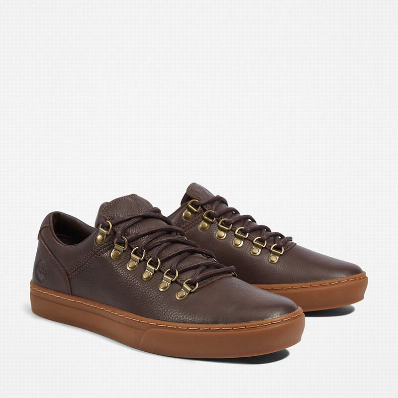 Timberland Adventure 2.0 Cupsole Alpine Tenisice Smeđe | 17648267
