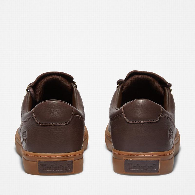 Timberland Adventure 2.0 Cupsole Alpine Tenisice Smeđe | 17648267