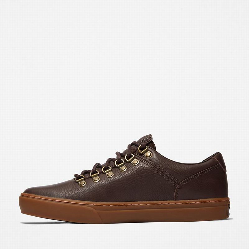 Timberland Adventure 2.0 Cupsole Alpine Tenisice Smeđe | 17648267