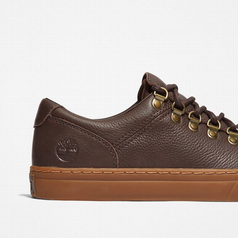 Timberland Adventure 2.0 Cupsole Alpine Tenisice Smeđe | 17648267