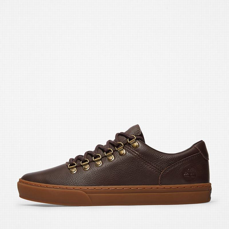 Timberland Adventure 2.0 Cupsole Alpine Tenisice Smeđe | 17648267