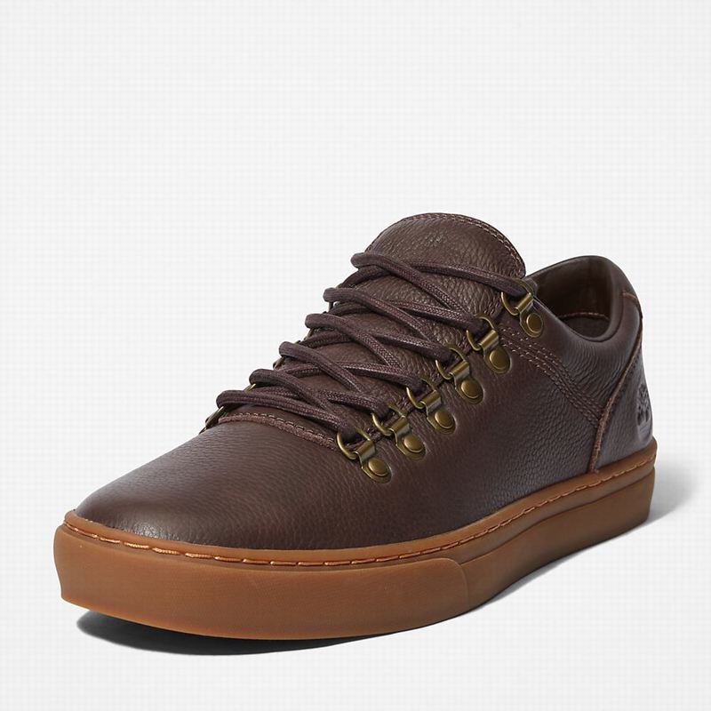 Timberland Adventure 2.0 Cupsole Alpine Tenisice Smeđe | 17648267