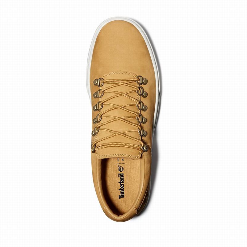 Timberland Adventure 2.0 Cupsole Alpine Tenisice Žute | 31856310