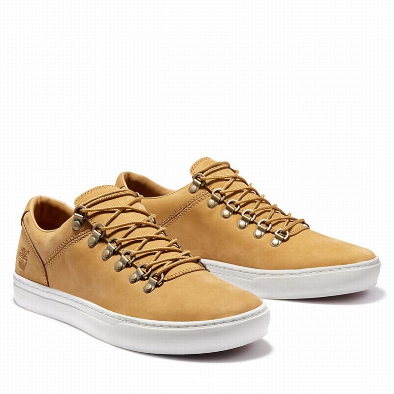 Timberland Adventure 2.0 Cupsole Alpine Tenisice Žute | 31856310