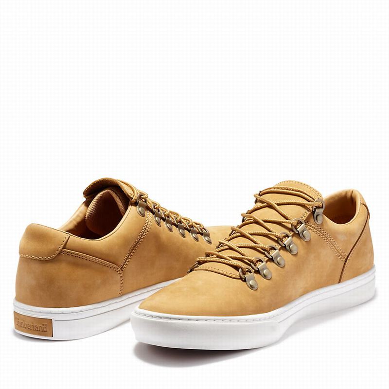 Timberland Adventure 2.0 Cupsole Alpine Tenisice Žute | 31856310