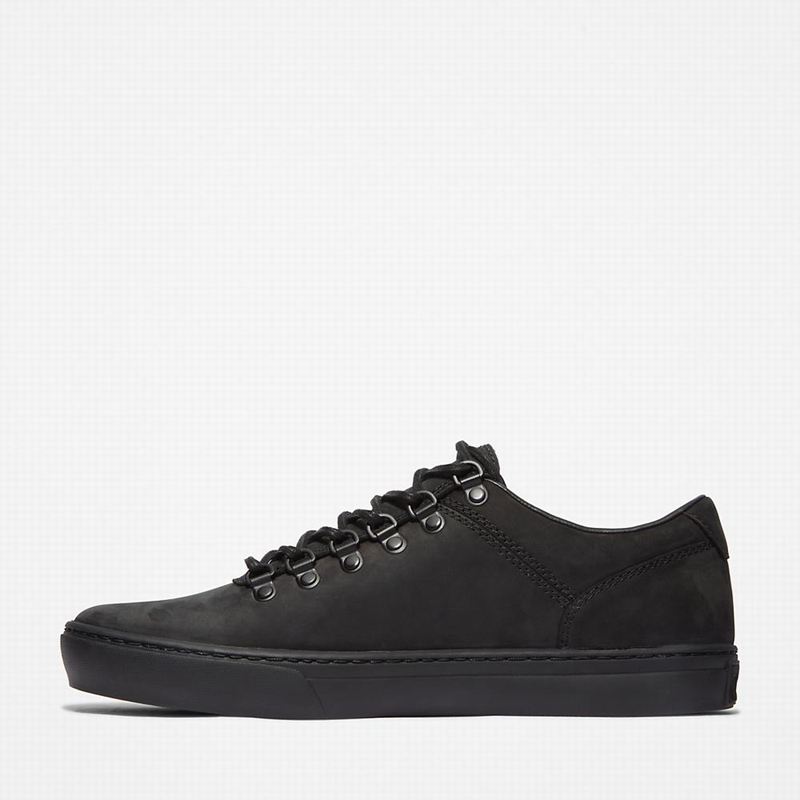 Timberland Adventure 2.0 Cupsole Alpine Tenisice Crne | 91014114