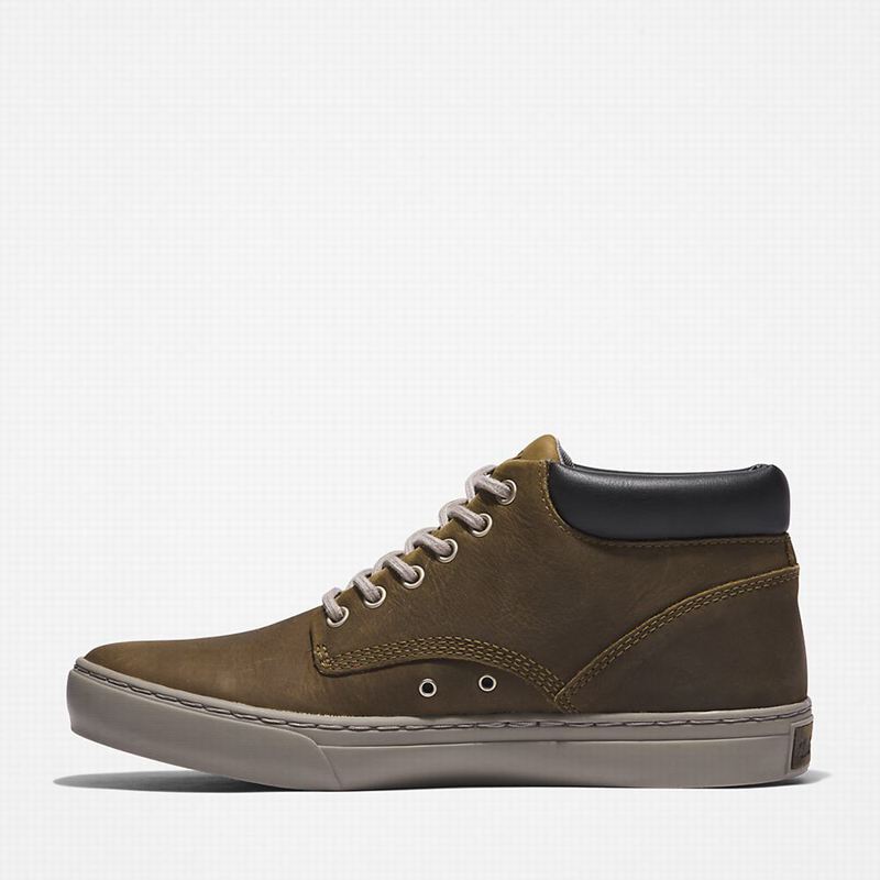 Timberland Adventure 2.0 Cupsole Chukka Čizme Maslinasto Zelene | 52668243