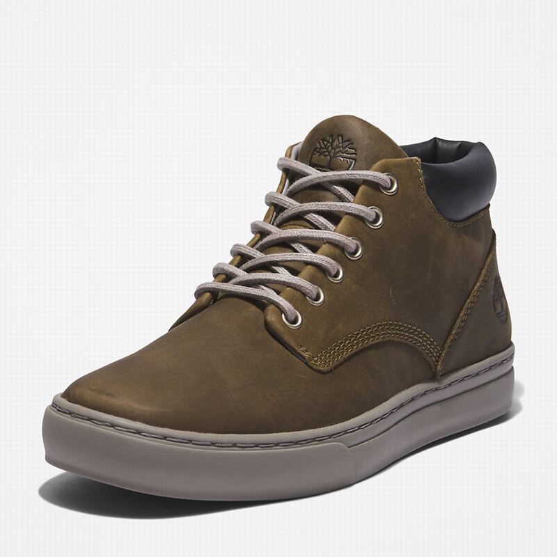 Timberland Adventure 2.0 Cupsole Chukka Čizme Maslinasto Zelene | 52668243