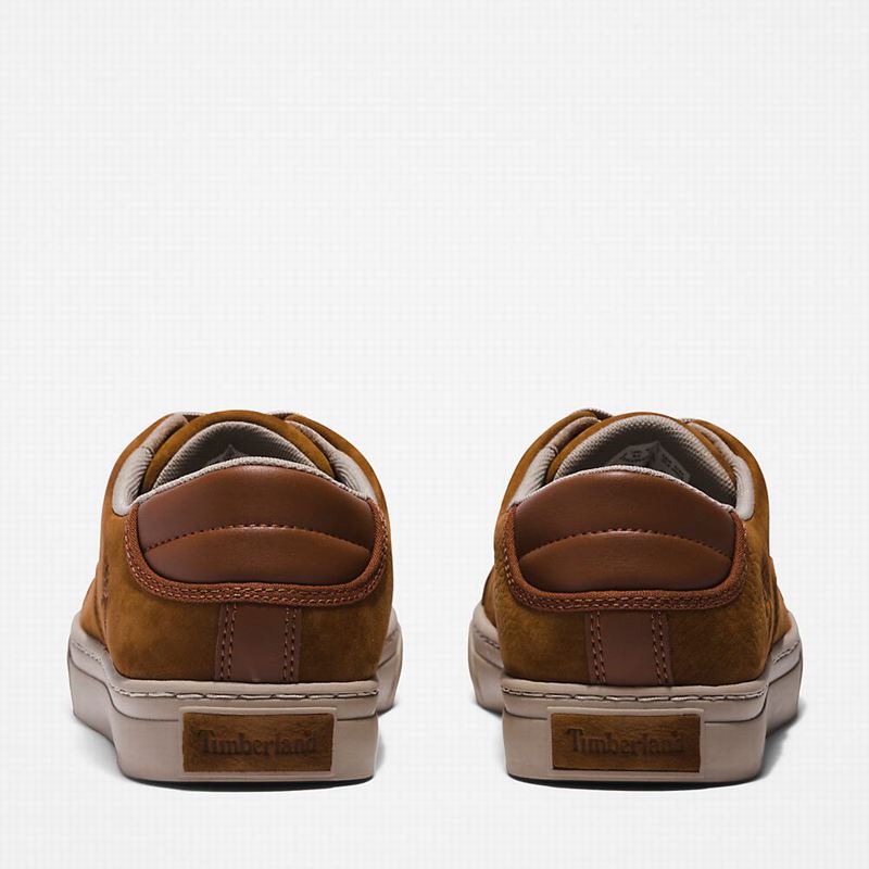Timberland Adventure 2.0 Low Tenisice Smeđe | 19200629