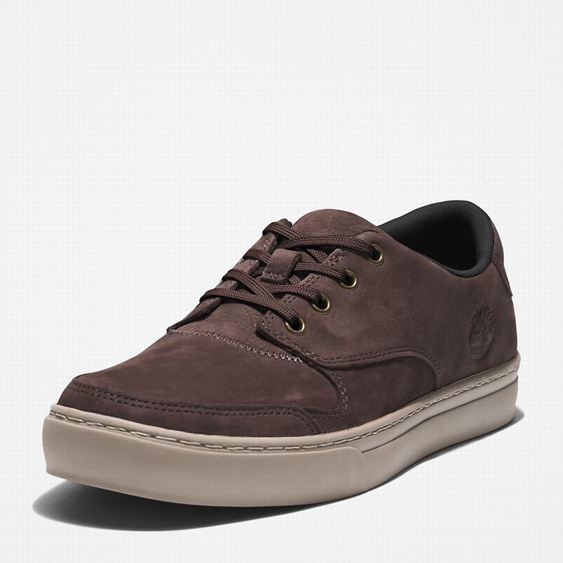 Timberland Adventure 2.0 Low Tenisice Smeđe | 6930364