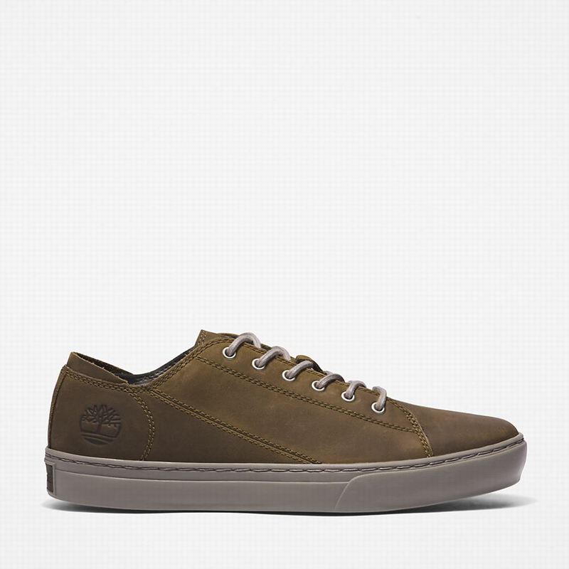 Timberland Adventure 2.0 Oxford Tenisice Maslinasto Zelene | 48388131