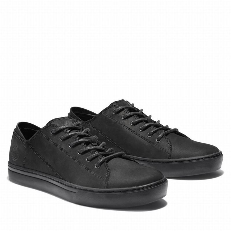 Timberland Adventure 2.0 Tenisice Crne | 15299365