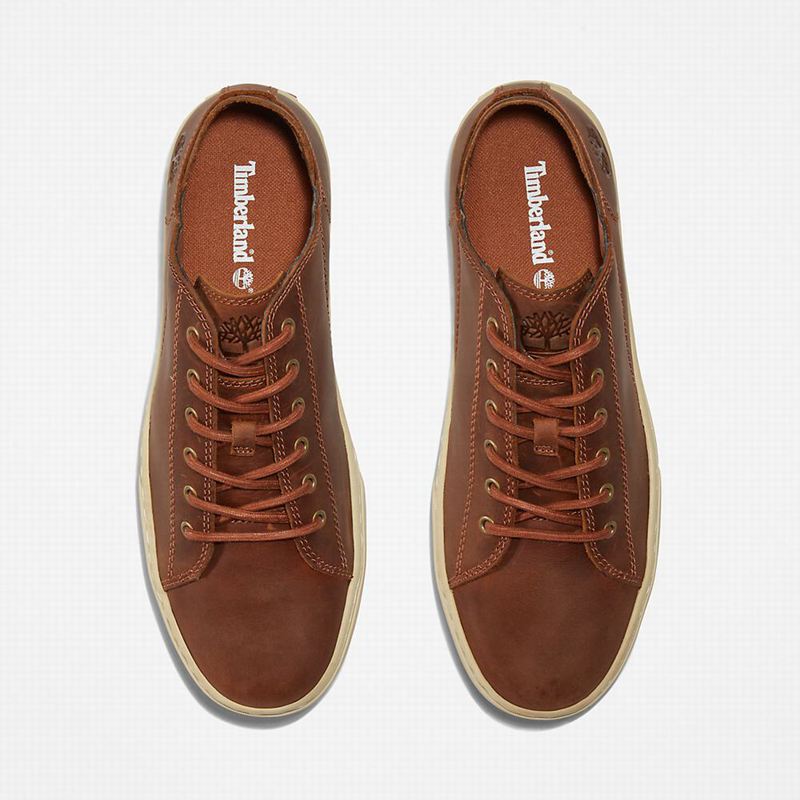 Timberland Adventure 2.0 Tenisice Smeđe | 78015852