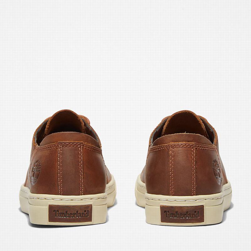 Timberland Adventure 2.0 Tenisice Smeđe | 78015852
