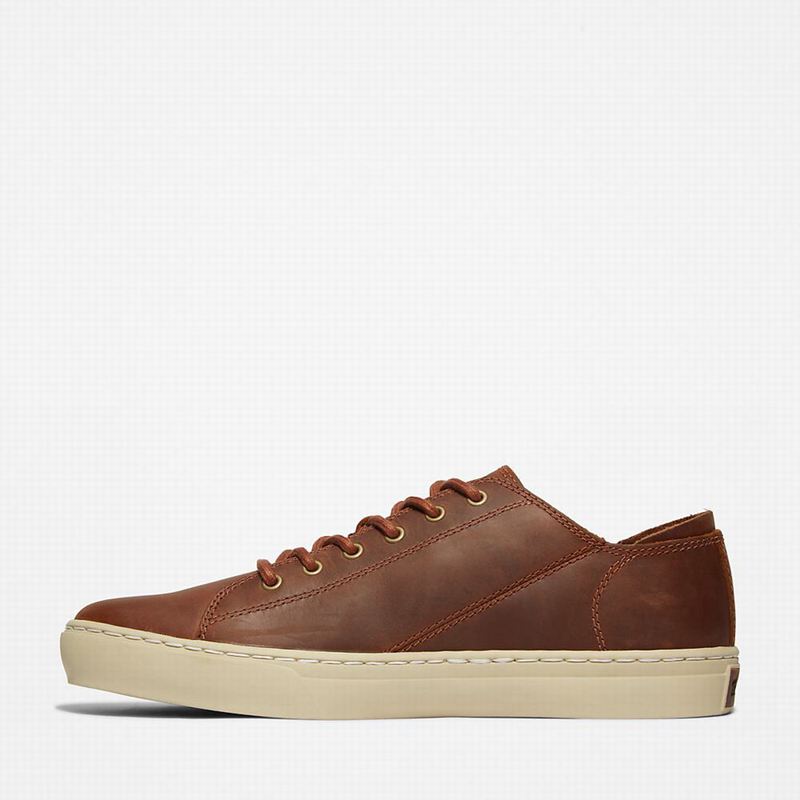 Timberland Adventure 2.0 Tenisice Smeđe | 78015852