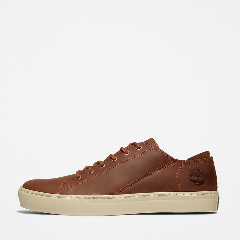 Timberland Adventure 2.0 Tenisice Smeđe | 78015852