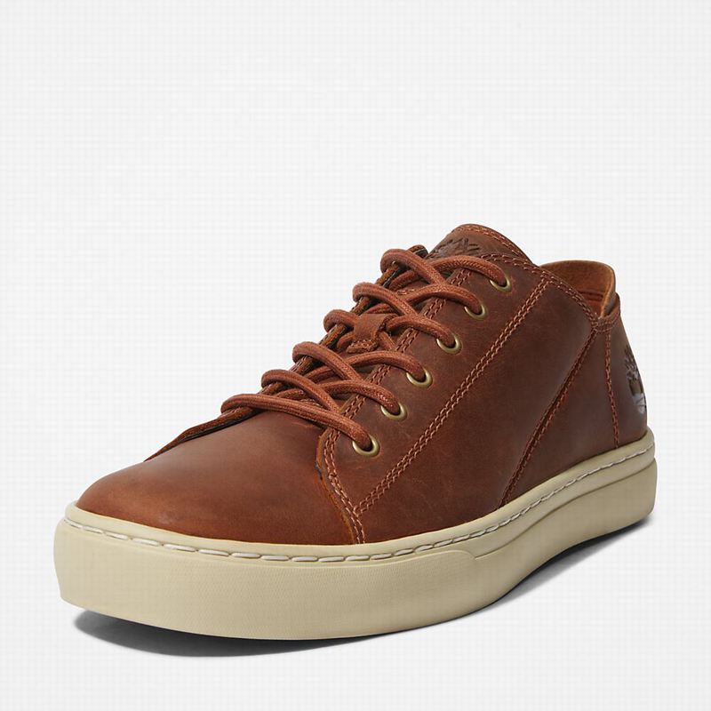 Timberland Adventure 2.0 Tenisice Smeđe | 78015852